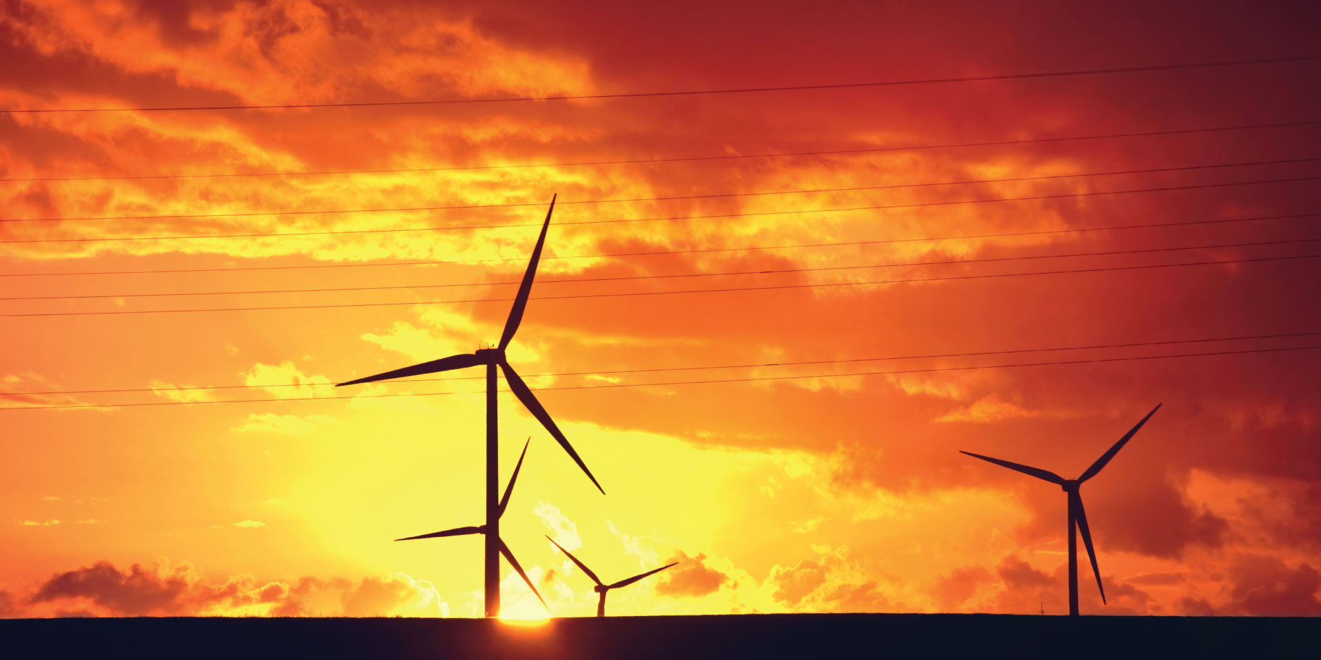 Waste Management Solutions